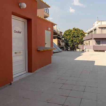 شقة Orchid Athens Over Rooftop Studio المظهر الخارجي الصورة